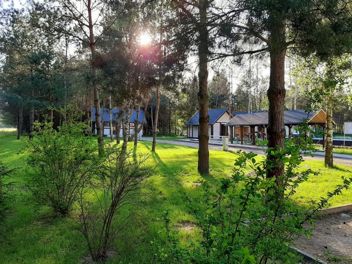 Osrodek Wypoczynkowy Lubu Dubu Hotel Dankow Exterior foto
